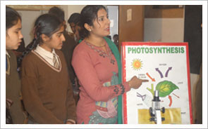 Accomodation New Delhi